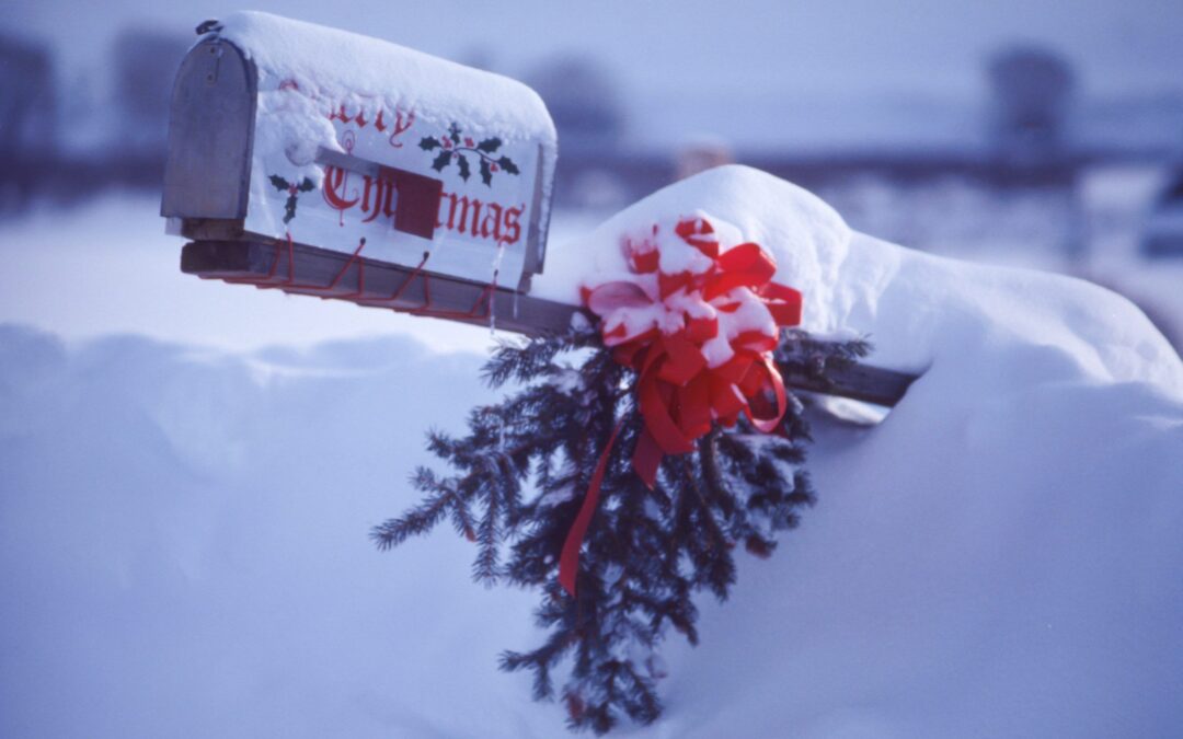 Navidades Gooder