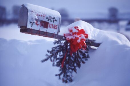 Navidades Gooder